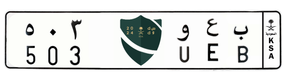 لوحة ب ع و 503